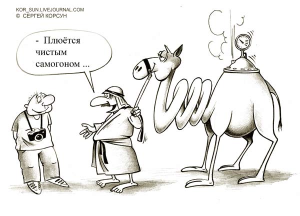 http://www.anekdot.ru/i/caricatures/normal/10/3/22/16.jpg