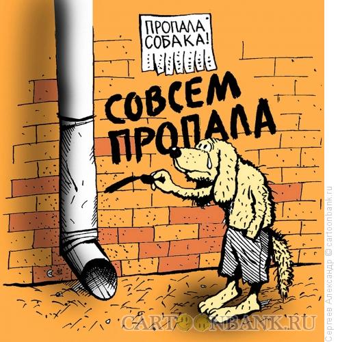 http://www.anekdot.ru/i/caricatures/normal/11/11/24/sobaka-propala.jpg