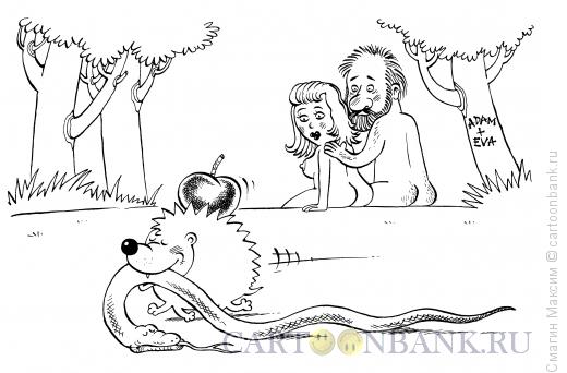 http://www.anekdot.ru/i/caricatures/normal/11/11/26/yozh-i-zmej-iskusitel.jpg