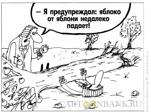 http://www.anekdot.ru/i/caricatures/normal/11/12/10/yabloko-i-yablonya.jpg