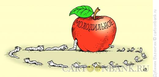 http://www.anekdot.ru/i/caricatures/normal/12/6/25/molodilnoe-yabloko.jpg