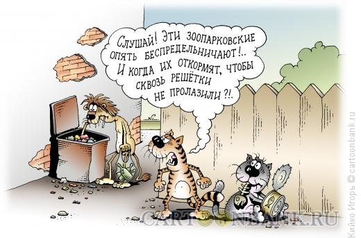 Карикатура: Зонопарк, Кийко Игорь