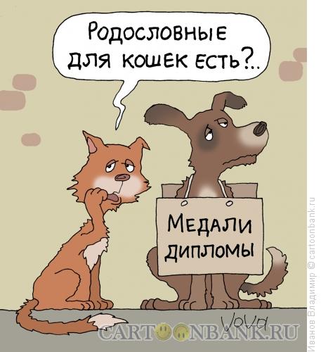 http://www.anekdot.ru/i/caricatures/normal/13/7/31/medali-i-diplomy.jpg