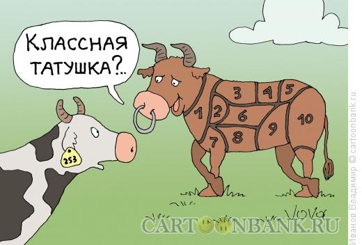 http://www.anekdot.ru/i/caricatures/normal/13/7/4/tatu-dlya-bychka.jpg