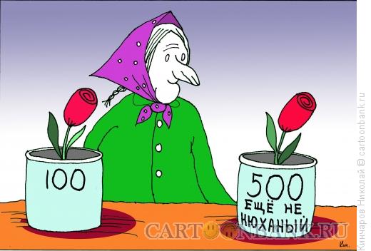 http://www.anekdot.ru/i/caricatures/normal/13/9/22/babka-cvetochnica.jpg