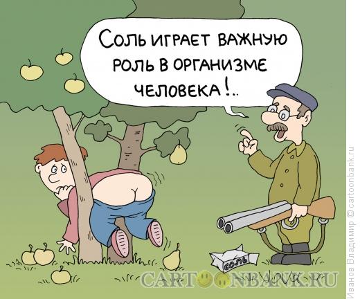 http://www.anekdot.ru/i/caricatures/normal/13/9/4/o-polze-soli.jpg