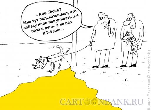 http://www.anekdot.ru/i/caricatures/normal/14/1/29/vygul-sobaki.jpg