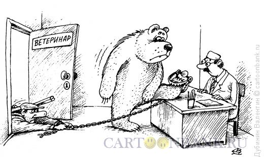 http://www.anekdot.ru/i/caricatures/normal/14/4/20/medved-u-veterinara.jpg