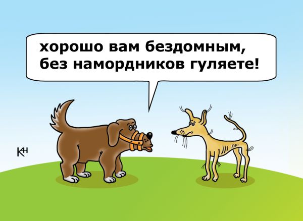http://www.anekdot.ru/i/caricatures/normal/14/9/10/nedovolnyj-pes.jpg