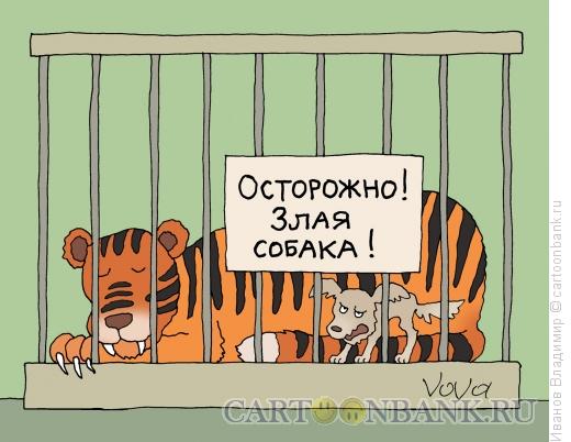 http://www.anekdot.ru/i/caricatures/normal/16/1/11/zlaya-sobaka.jpg