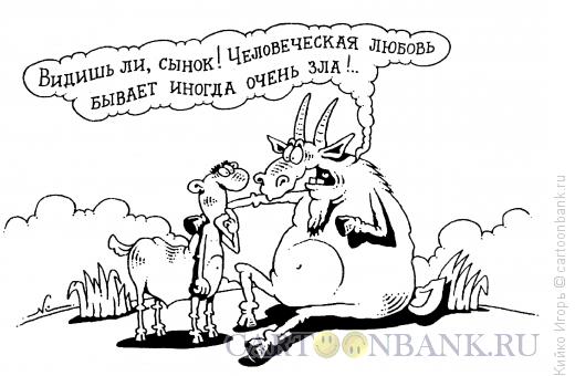 http://www.anekdot.ru/i/caricatures/normal/16/6/2/zlaya-lyubov.jpg