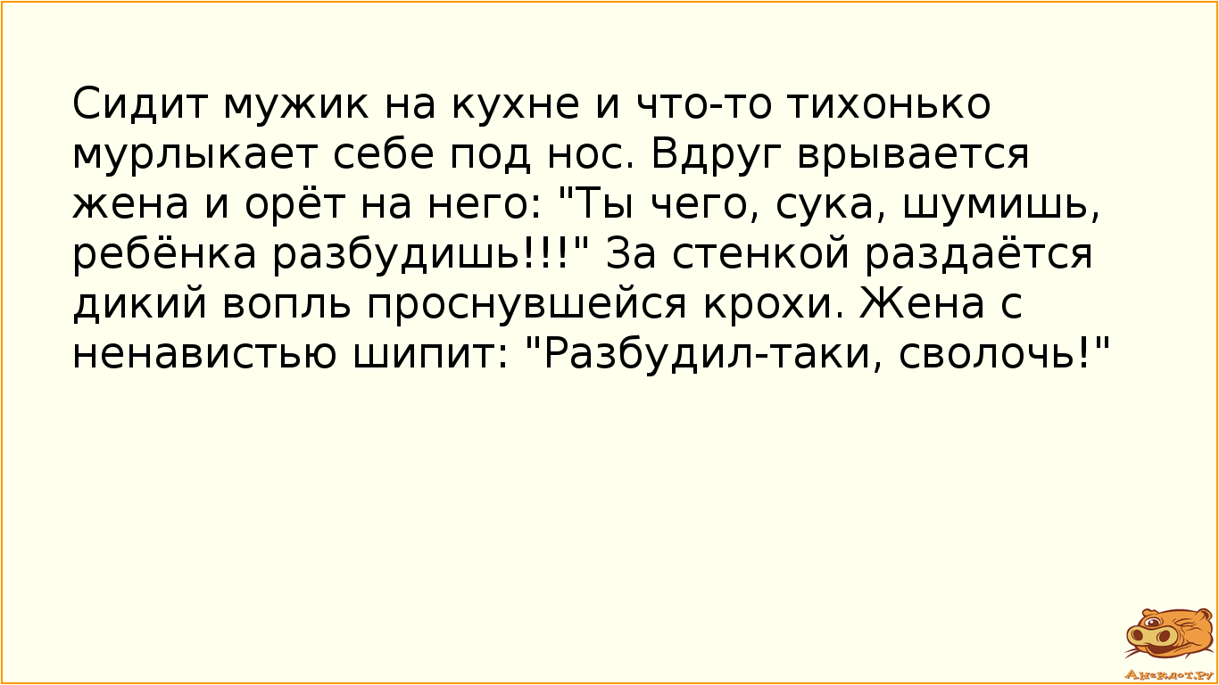 Сидит мужик на кухне и что-то тихонько мурлыкает себе под нос. Вдруг врывается жена и орёт на него: "Ты чего, сука, шумишь, ребёнка разбудишь!!!" За стенкой раздаётся дикий вопль проснувшейся крохи. Жена с ненавистью шипит: "Разбудил-таки, сволочь!"