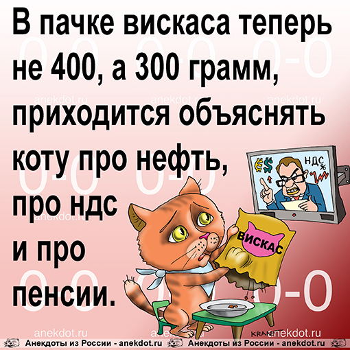 В пачке вискаса теперь не 400, а 300 грамм, приходится объяснять коту про нефть, про ндс и про…