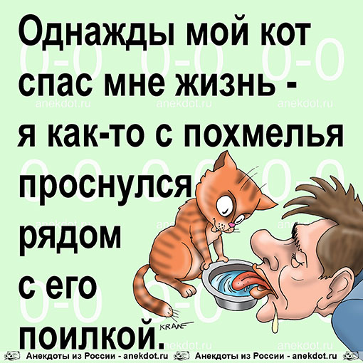 Однажды мой кот спас мне жизнь - я как-то с похмелья проснулся рядом с его поилкой.