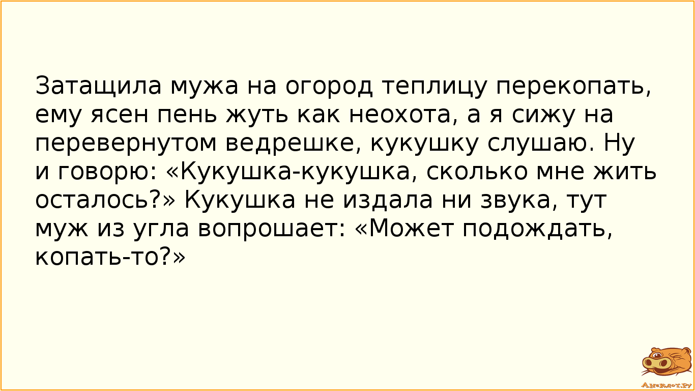 Затащила мужа на огород теплицу перекопать, ему ясен пень жуть как неохота, а я сижу на перевернутом ведрешке, кукушку слушаю. Ну и говорю: «Кукушка-кукушка, сколько мне жить осталось?» Кукушка не издала ни звука, тут муж из угла вопрошает: «Может подождать, копать-то?» 