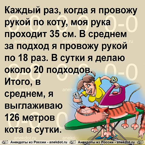 Каждый раз, когда я провожу рукой по коту, моя рука проходит 35 см. В среднем за подход я провожу рукой по 18 раз. В сутки я делаю около 20 подходов. Итого, в среднем, я выглаживаю 126 метров кота в сутки.