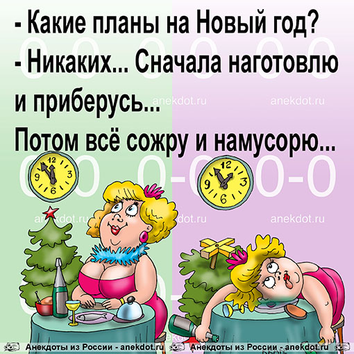 - Какие планы на Новый год? - Никаких... Сначала наготовлю и приберусь... Потом всё сожру и намусорю...