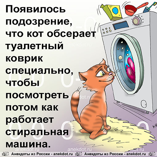 Появилось подозрение, что кот обсерает туалетный коврик специально, чтобы посмотреть потом как работает стиральная машина.