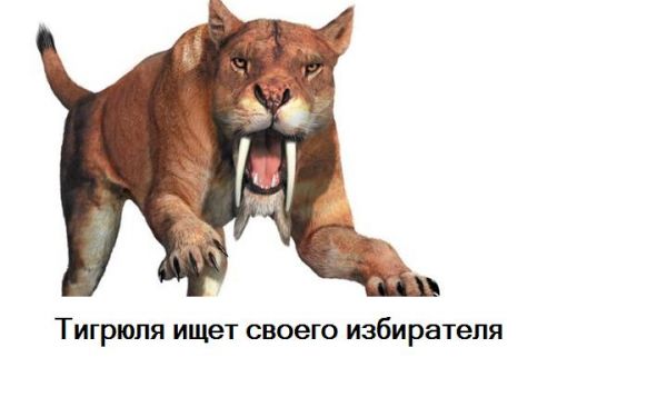 Карикатура: Тигрюля ищет избирателей, Яша