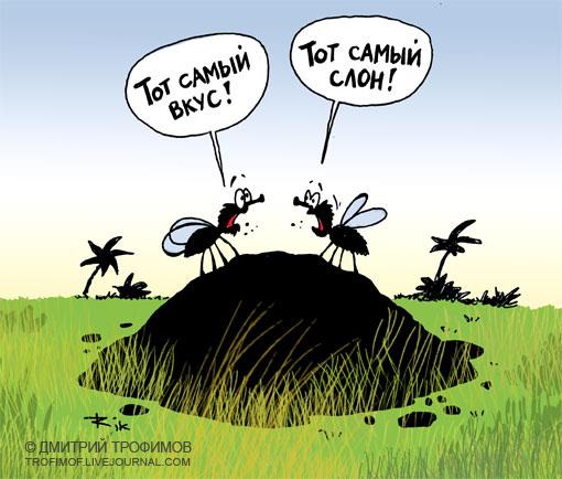 Карикатура: Тот самый слон, Трофимов Дмитрий