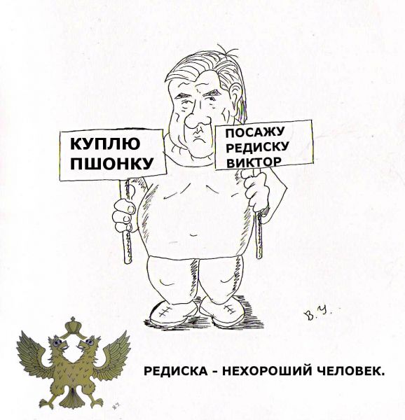 Карикатура: Янукович назначил Пшонку ген. прокурором.Тимошенко предъявили обвинение., владимир ву