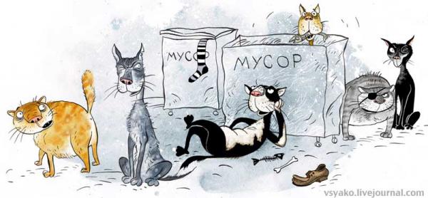 Карикатура: Коты, Ольга Громова