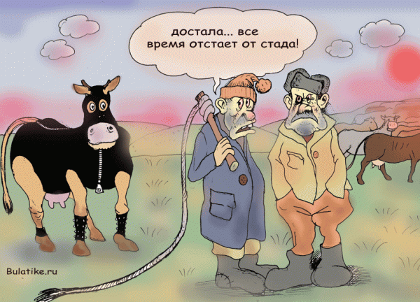 Карикатура: странная корова, Булат Ирсаев