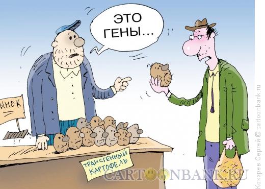 Карикатура: картофельный мутант, Кокарев Сергей