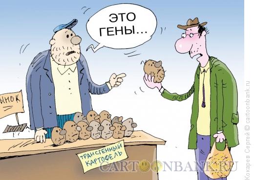 Карикатура: картофельный мутант, Кокарев Сергей