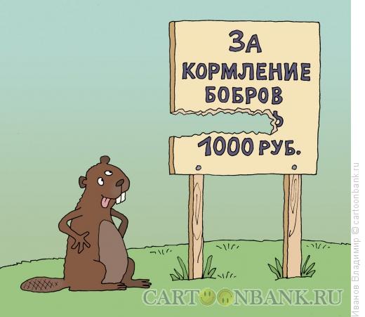 Карикатура: Накормить бобров, Иванов Владимир