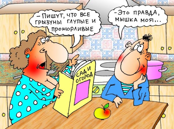 Карикатура: Мышка..., Александр Хорошевский