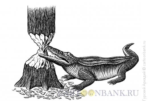 Карикатура: крокодил, Гурский Аркадий