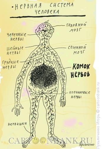 Карикатура: Комок нервов, Лукьянченко Игорь