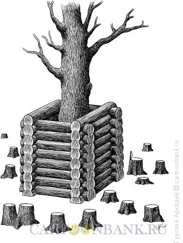 Карикатура: дерево, Гурский Аркадий