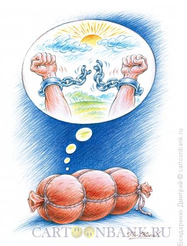Карикатура: Freedom!, Бондаренко Дмитрий