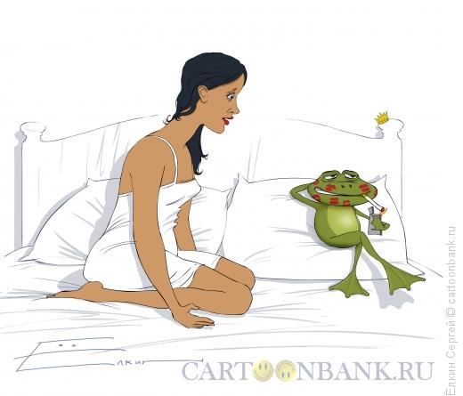 Карикатура: Принц?, Ёлкин Сергей