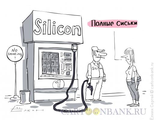 Карикатура: Силикон, Ёлкин Сергей