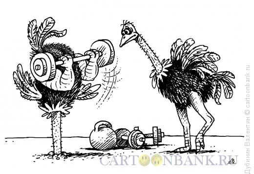 Карикатура: Страус- качок, Дубинин Валентин