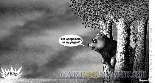 Карикатура: Особое мнение, Богорад Виктор
