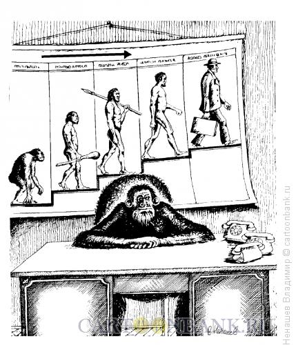 Карикатура: от обезьяны к человеку, Ненашев Владимир