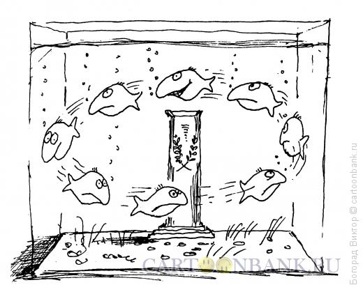 Карикатура: Рыбки на пьедестале, Богорад Виктор