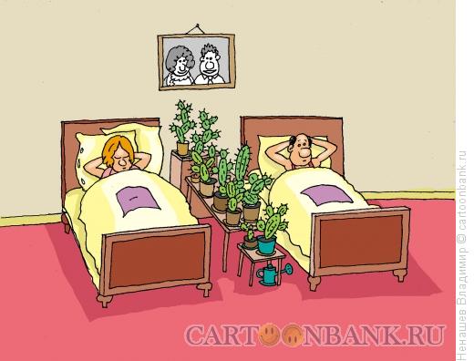 Карикатура: муж и жена, Ненашев Владимир