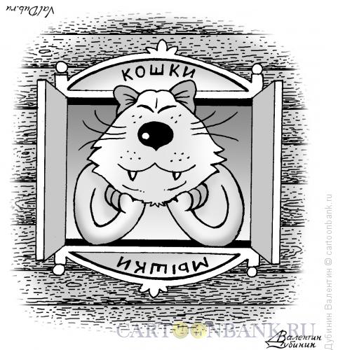 Карикатура: Кошки - мышки, Дубинин Валентин