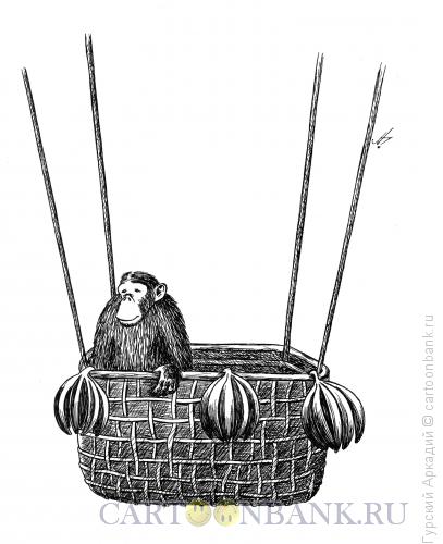 Карикатура: обезьяна в корзине, Гурский Аркадий