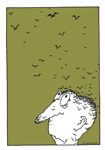 Карикатура: птицы, михаил ларичев