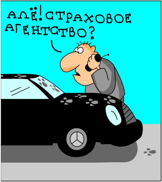 Карикатура: звонок страховщику, Дмитрий Бандура