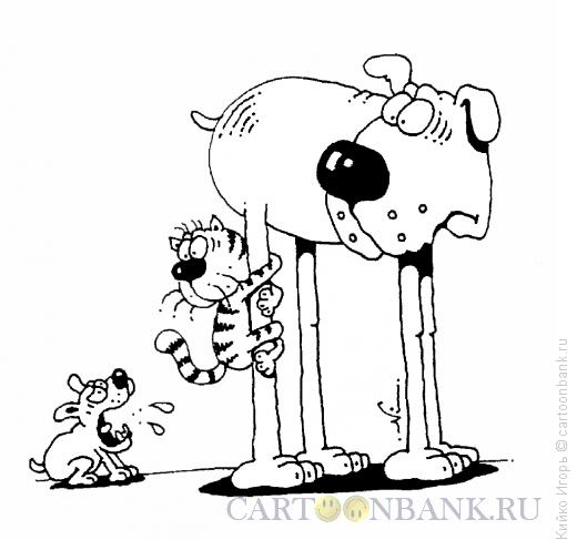 Карикатура: Кот и псы, Кийко Игорь