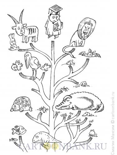 Карикатура: Жертвы крокодильей эволюции, Смагин Максим