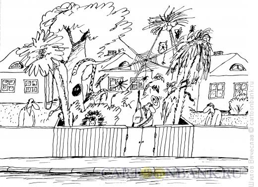 Карикатура: Джунгли на участке, Шилов Вячеслав