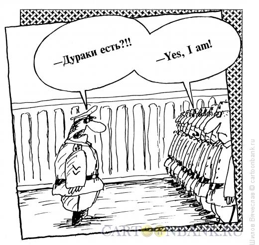 Карикатура №589564 Карикатура: Дураки, Шилов Вячеслав